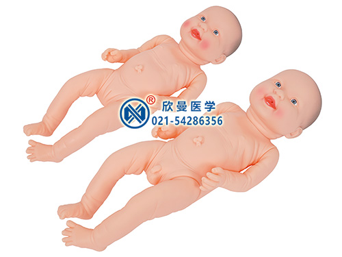 高级新生婴儿护理模型,足月婴儿模型