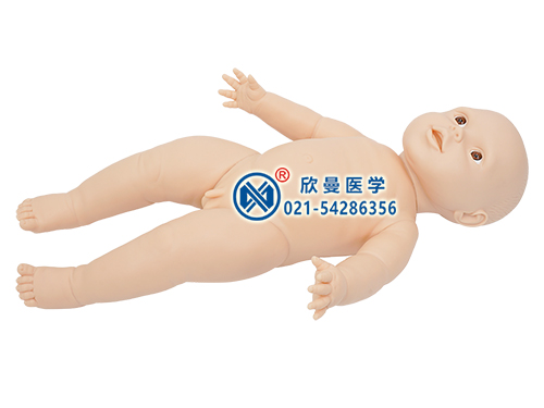 XM-YEK婴儿生长发育指标测量仿真模型