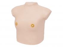 高级着装式乳房自检模型（乳房检查模型）
