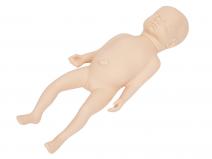 高级足月胎儿模型（足月婴儿模型）