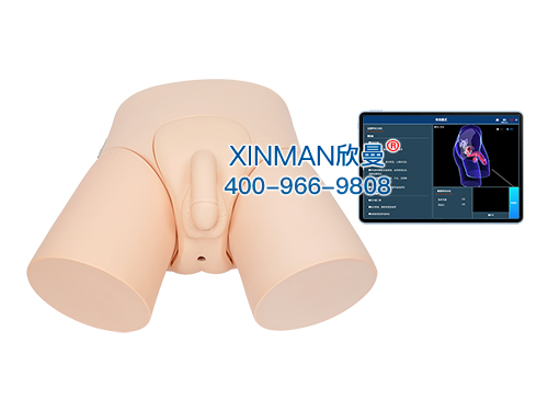 移动交互式男性导尿模型及考核系统