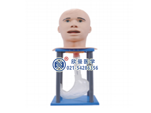 高级成人透明洗胃操作模型