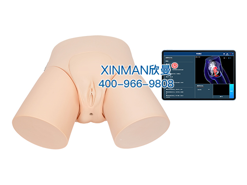 移动交互式女性导尿模型及考核系统