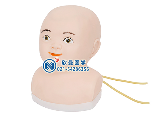 高级婴儿头部综合静脉穿刺训练模型,小儿头皮静脉穿刺模型
