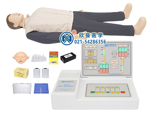 XM/CPR498医用人体模型,CPR急救模拟人