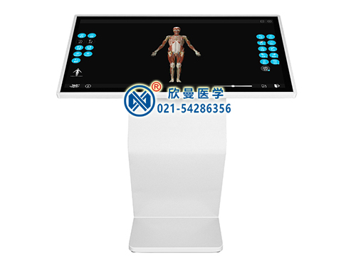 3D人体解剖教学系统平台
