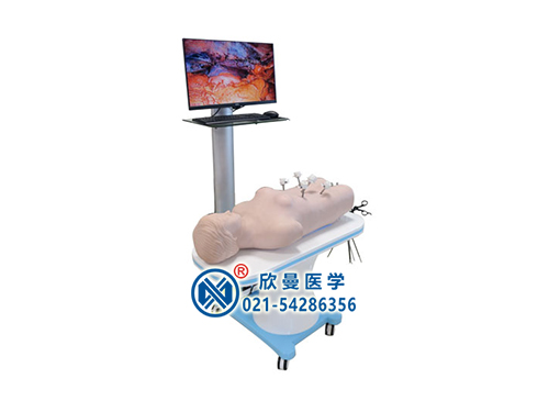 网络版群体化腹腔镜虚拟教学训练系统(学生机)