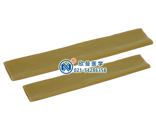 肠管吻合模型