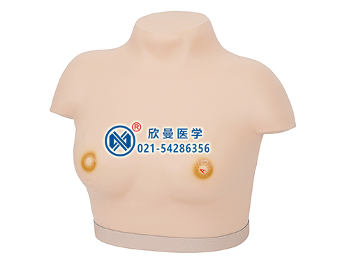 乳腺癌视诊与触诊仿真模型,乳腺检查模型