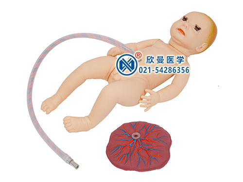 新生儿脐带插管模型