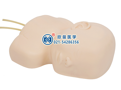 新生儿头皮静脉输液模型