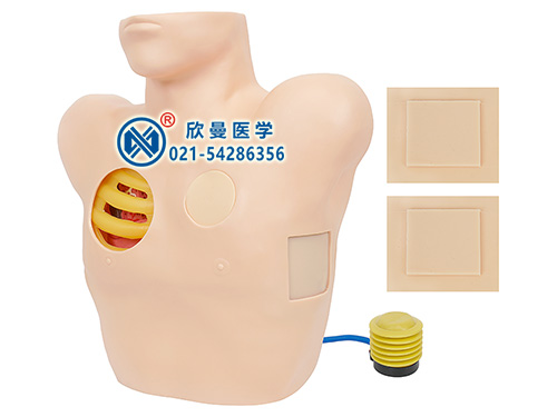 胸腔穿刺电子标准化病人模型